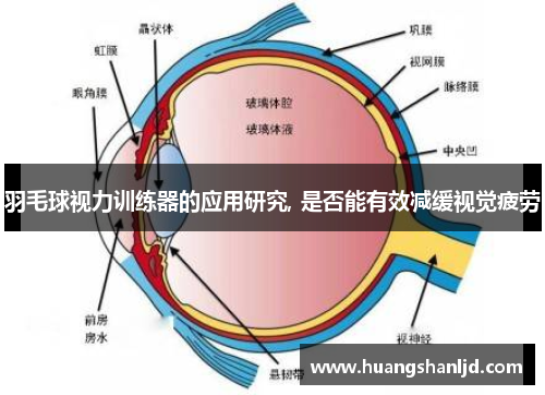 羽毛球视力训练器的应用研究, 是否能有效减缓视觉疲劳